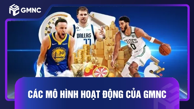 Các mô hình hoạt động của GMNC